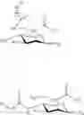 Fig. 15 - Chemoselective ligation