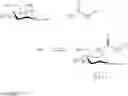 Fig. 30 - Chemoselective ligation