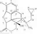 Fig. 09 - Processs for preparing N-alkylnaltrexone halides