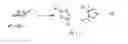 Fig. 01 - Copper-catalysed ligation of azides and acetylenes