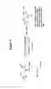 Fig. 06 - Copper-catalysed ligation of azides and acetylenes