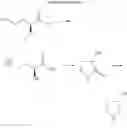 Fig. 13 - Synthetic method of optically pure (S)-3-hydroxypyrrolidine
