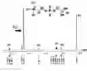 Fig. 01 - Phosphorylcholine group containing compound and surface modifying agent composed of such compound