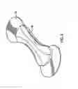 Fig. 04 - SYSTEMS, METHODS, AND DEVICES TO DETERMINE AND PREDICT PHYSILOGICAL STATES OF INDIVIDUALS AND TO ADMINISTER THERAPY, REPORTS, NOTIFICATIONS, AND THE LIKE THEREFOR