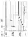 Fig. 10 - Shift-by-wire system