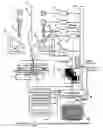 Fig. 01 - Charged particle beam apparatus