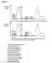Fig. 11 - Charged particle beam apparatus