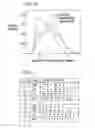 Fig. 09 - METHOD AND SYSTEM FOR AUTOMATICALLY DETECTING MORPHEMES IN A TASK CLASSIFICATION SYSTEM USING LATTICES