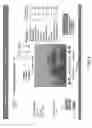 Fig. 05 - Mass Comparative Analysis of Advertising