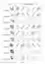 Fig. 14 - Multi-scale segmentation and partial matching 3D models