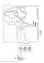 Fig. 04 - Interactive user controlled avatar animations