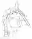 Fig. 01 - INTUBATION DEVICES AND METHODS OF USE THEREOF