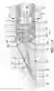 Fig. 11 - Lubricated pilot tubes for use with auger boring machine pilot steering system and use thereof