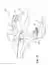 Fig. 22 - Adjustable ergonomic vehicles