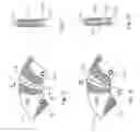 Fig. 11 - Parking Brake
