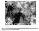 Fig. 04 - Process for the simultaneous and selective preparation of single-walled and multi-walled carbon nanotubes
