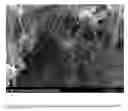 Fig. 05 - Process for the simultaneous and selective preparation of single-walled and multi-walled carbon nanotubes