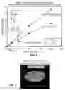 Fig. 04 - Elliptic C4 with optimal orientation for enhanced reliability in electronic packages