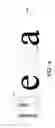 Fig. 05 - Magnetic watermark for text documents