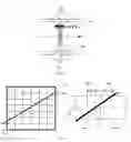 Fig. 03 - Incorporation of axial system response in iterative reconstruction from axially compressed data of cylindrical scanner using on-the-fly computing