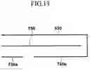 Fig. 12 - Capacitor and light emitting display using the same