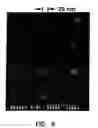 Fig. 07 - RELEASE SURFACES, PARTICULARLY FOR USE IN NANOIMPRINT LITHOGRAPHY