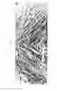 Fig. 03 - Method for producing tissue scaffold having aligned fibrils