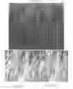Fig. 06 - Method for producing tissue scaffold having aligned fibrils