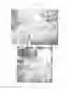 Fig. 07 - Method for producing tissue scaffold having aligned fibrils