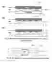 Fig. 06 - Method and apparatus of electrical field assisted imprinting