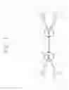 Fig. 02 - Nerve challenge