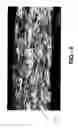 Fig. 06 - Metal gasket