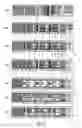 Fig. 03 - GAME TICKET