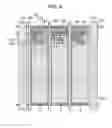 Fig. 09 - Organic electroluminescence display device and method of manufacturing the same