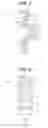Fig. 04 - Antenna and manufacturing method thereof