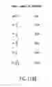 Fig. 167 - Phased array antenna applications on universal frequency translation