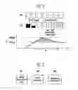 Fig. 03 - Organic electro luminescence display and driving method of the same