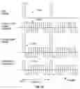 Fig. 12 - Transient liquid crystal architecture