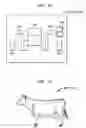 Fig. 13 - System and method for image-based rendering with object proxies
