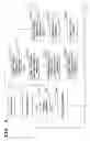 Fig. 10 - Terminal apparatus and processing program thereof