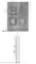 Fig. 04 - INKJET PRINTING PARTIALLY IMAGED PANELS WITH SUPERIMPOSED LAYERS