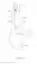 Fig. 77 - Cartridge unit having multiple ink storage capacity