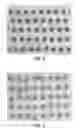 Fig. 03 - Imaging on flexible packaging substrates