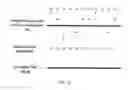 Fig. 24 - Apparatus and method for stabilizing image sensor black level