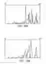Fig. 17 - Methods, apparatus, and systems for evaluating gemstones
