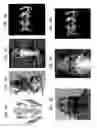 Fig. 08 - Infrared Scanner for Biological Applications