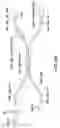 Fig. 40 - METHODS AND APPARATUS FOR DETERMINING PARTICLE CHARACTERISTICS BY MEASURING SCATTERED LIGHT