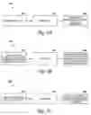 Fig. 02 - Metadata image processing