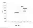 Fig. 09 - Electro-optic displays, and materials for use therein