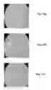 Fig. 10 - Electro-optic displays, and materials for use therein